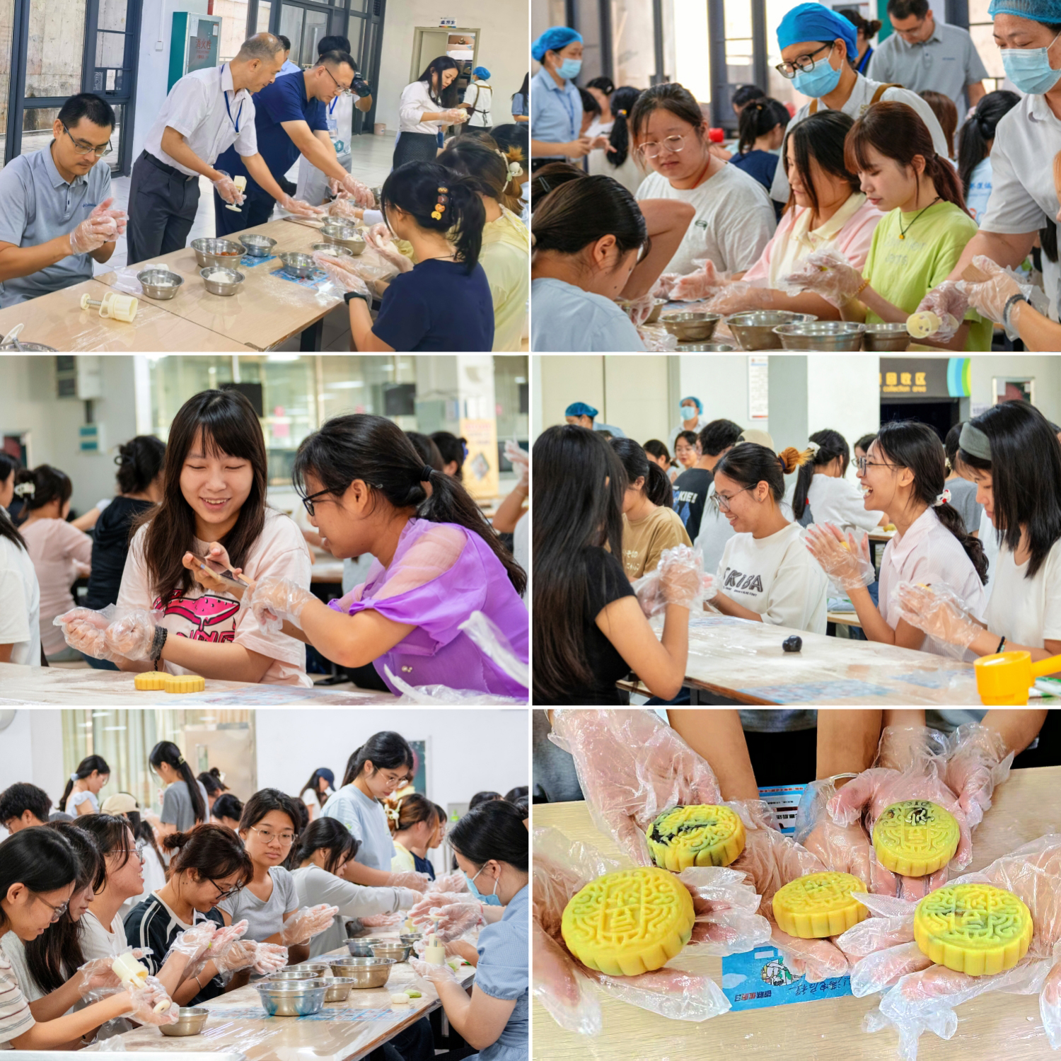 W020250924354349491617 拷贝.jpg